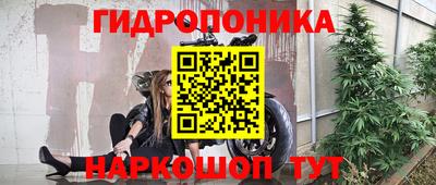 a pvp Дубна