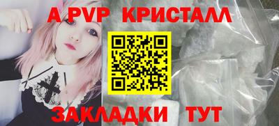 стаф Донецк